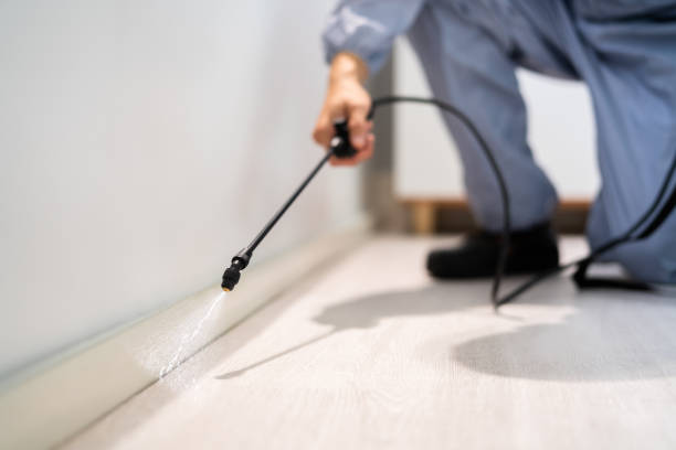 Professional exterminator conducting IPM assessment in Woodlawn